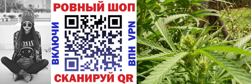 Купить закладку Гашиш  Псилоцибиновые грибы  МЕФ  ГЕРОИН  Кокаин  Навашино