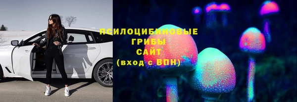 гидропоника Верхний Тагил